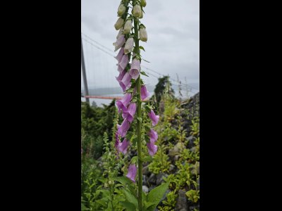 20250703_124523 - Kopie.jpg